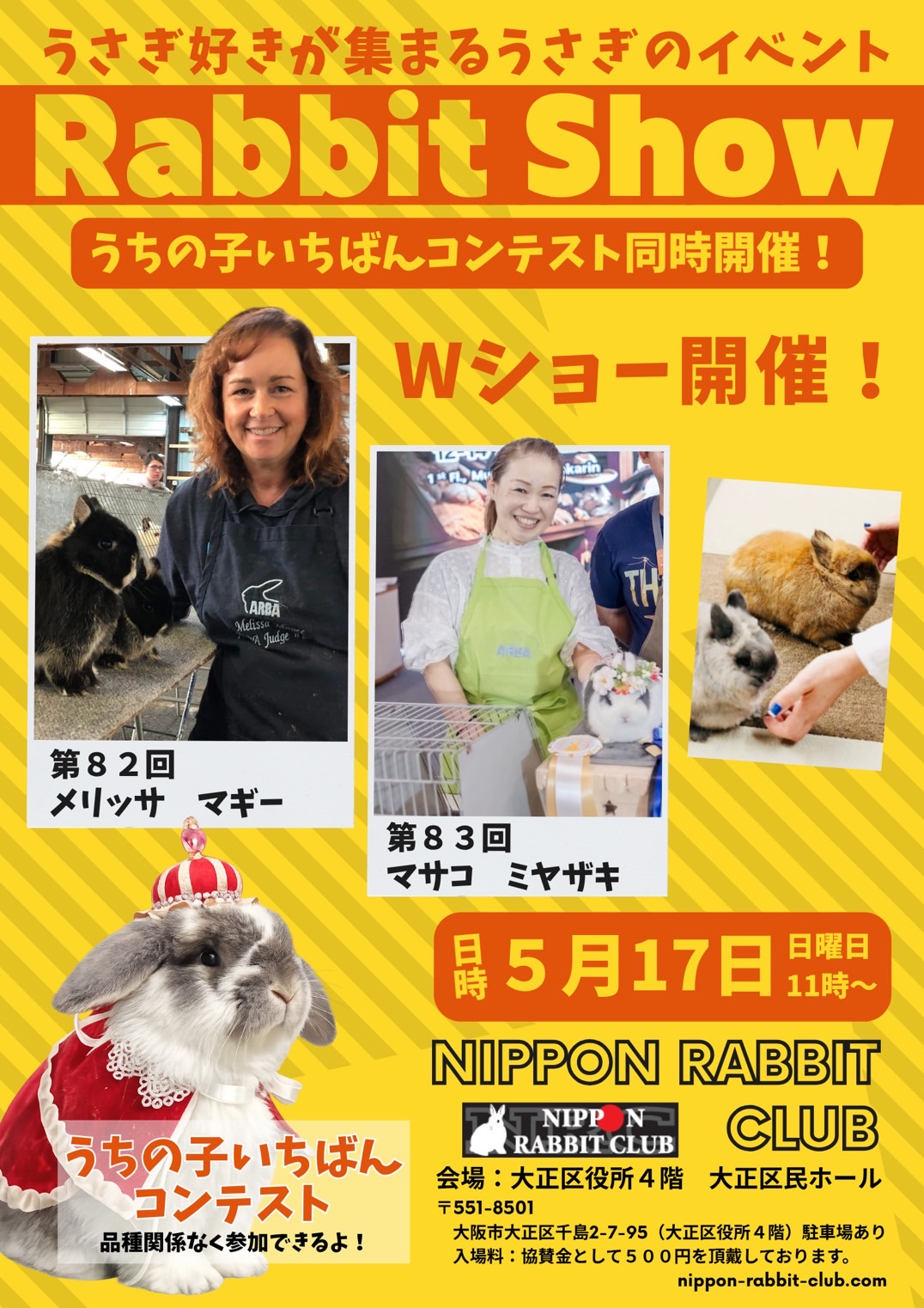 ブリーダー直営 うさぎ専門店☆シーズラビトリー☆
